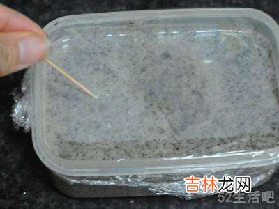 黑芝麻粉怎么吃?