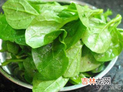 野木耳菜怎么吃?