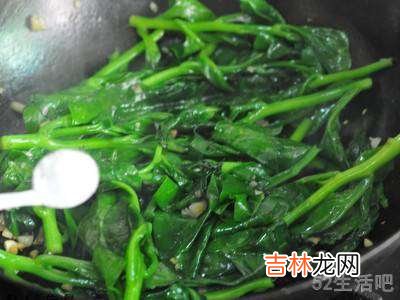 野木耳菜怎么吃?