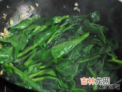 野木耳菜怎么吃?