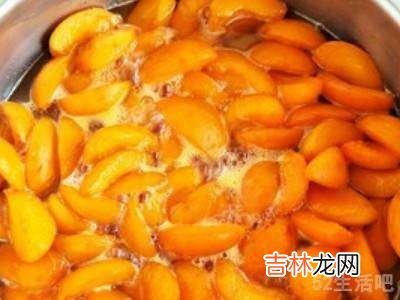 杏肉干怎么吃?