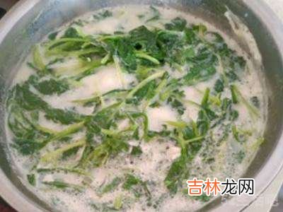 菜豆腐怎么吃?