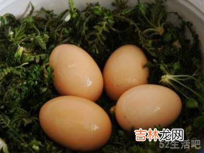 独行菜怎么吃?