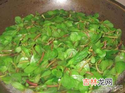 蚂蚱菜怎么吃?