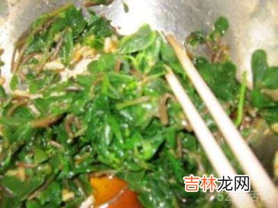 蚂蚱菜怎么吃?