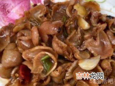 石斑鱼鱼肚怎么吃?