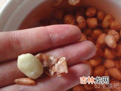 花生奶怎么用豆浆机做?