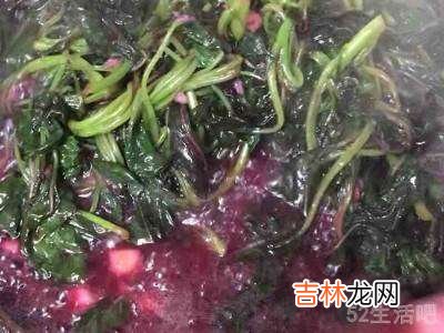 怎么吃苋菜?