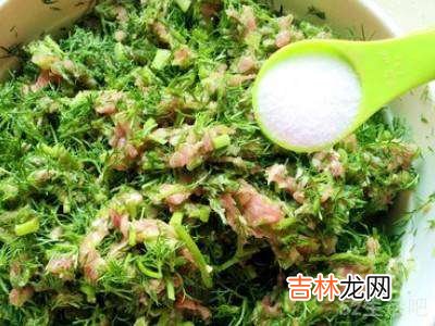 茴香苗饺子馅怎么调好吃?
