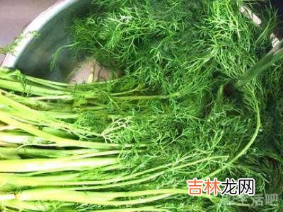 茴香苗饺子馅怎么调好吃?