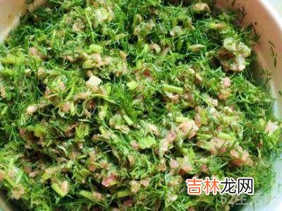 茴香苗饺子馅怎么调好吃?