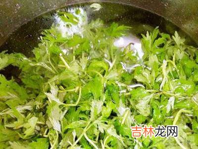 艾叶怎么弄才不苦?