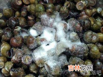 田螺如何清洗干净?