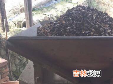 怎么炒茶油