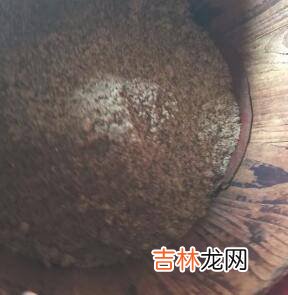 怎么炒茶油