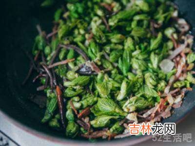 桑葚花的做法?