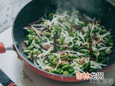 桑葚花的做法?