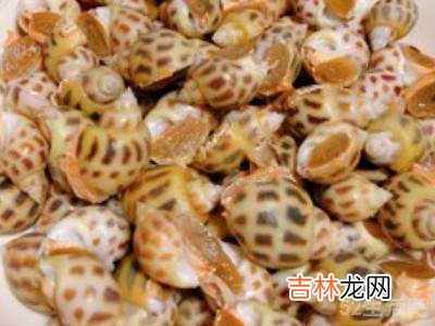 黄螺的做法?