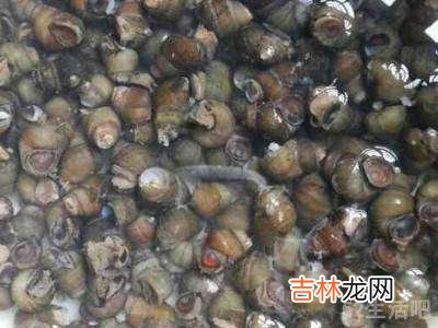 螺丝要不要焯水再炒?