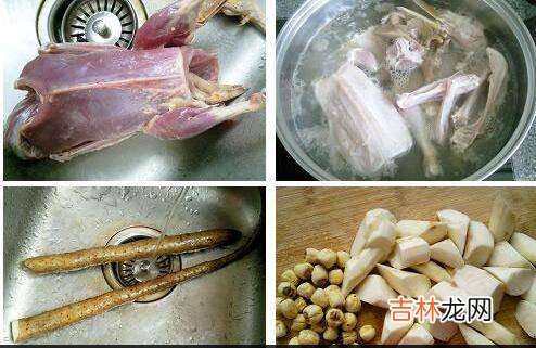 老鸭汤怎么炖好喝又营养