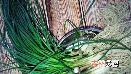 野葱怎么吃好吃