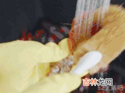 小龙虾肉质松散怎么解决?