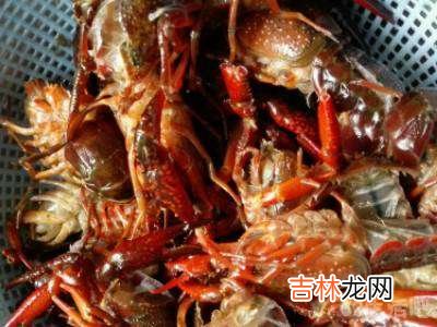 椒盐龙虾怎么做?