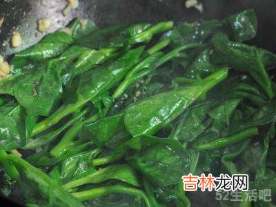 大叶木耳菜怎么做好吃?