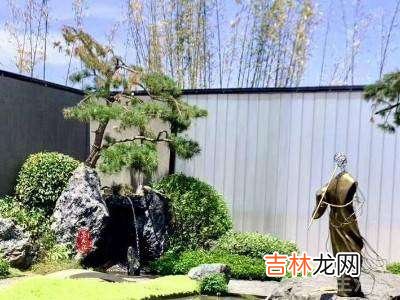 庭院灭蚊的最佳方法?