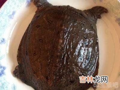 鳖怎么做汤好吃?