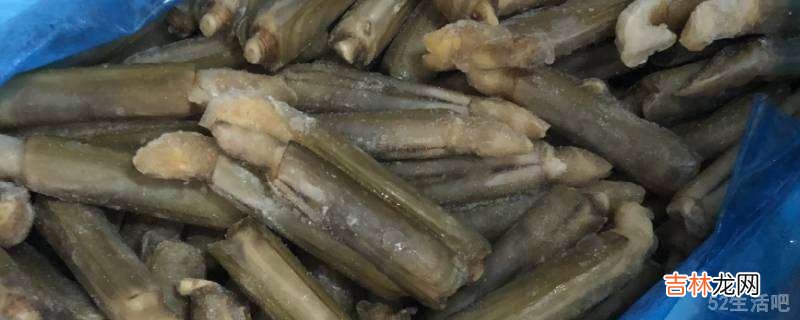 冷冻蛏子怎么处理干净?
