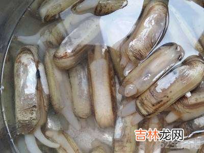 冷冻蛏子怎么处理干净?
