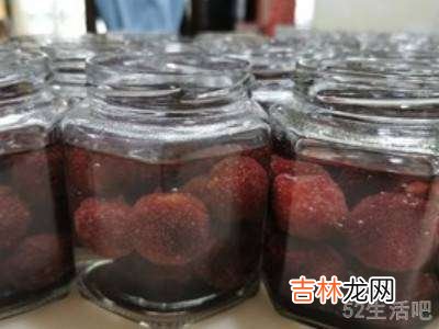 杨梅罐头的制作方法步骤?