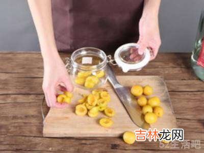 杏子酒的酿制方法?