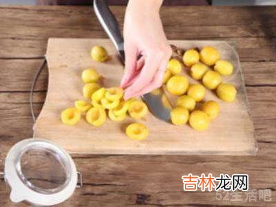 杏子酒的酿制方法?