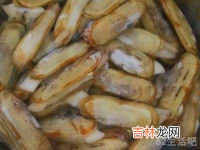 蛏子的清洗方法和做法?