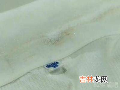 白衬衫领子发黄怎么洗白小妙招?