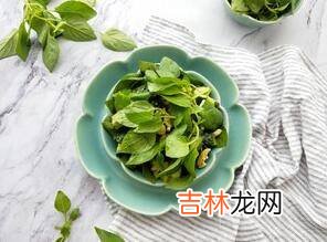 荆芥怎么吃