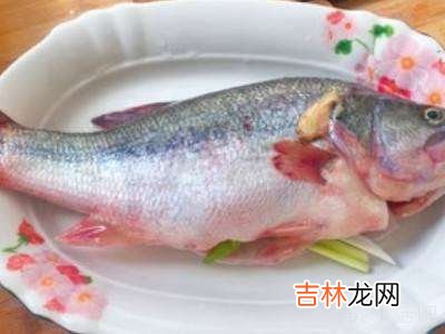 清炖鲈鱼怎么做好吃又简单?