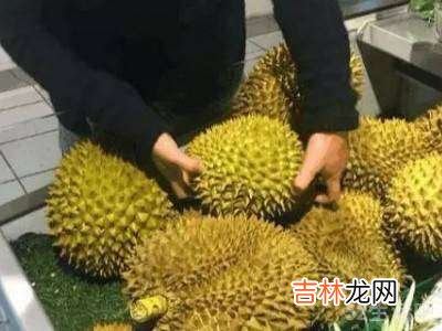 怎么挑选榴莲肉多好吃?