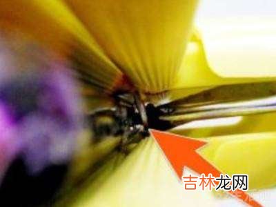 卡扣海绵拖把头怎么下?