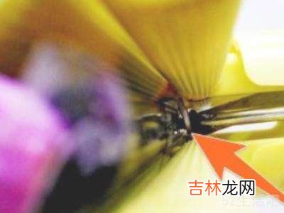 卡扣海绵拖把头怎么下?