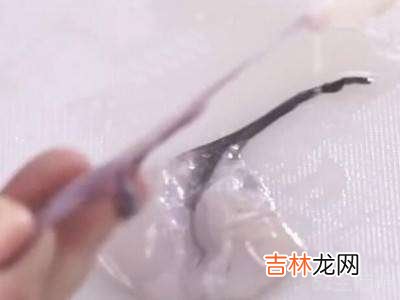 小墨鱼怎么处理干净?