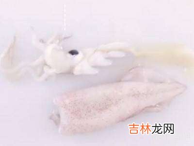 小墨鱼怎么处理干净?