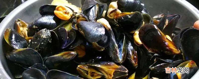 没煮的海虹能存放几天