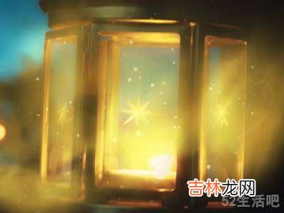 白天如何捕捉甲虫?