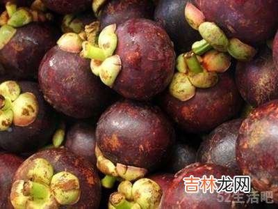 夏天山竹怎么保存?