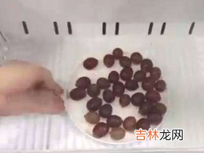 提子皮怎么好剥?