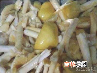 野生松菌怎么长期保存?