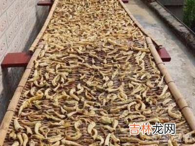 青辣椒怎么晒成白辣椒?